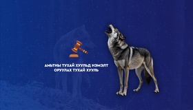 Амьтны тухай хуульд нэмэлт оруулах тухай хуулиар иргэн зайлшгүй шаардлагаар саарал чоно агнасан бол хуулийн хариуцлага хүлээхгүй