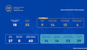The Standing Committee on Budget had nine laws and fourteen resolutions of the State Great Hural (Parliament) adopted during the regular session