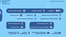 Хүний хөгжил, нийгмийн бодлогын байнгын хороо намрын чуулганы хугацаанд 12 удаа хуралджээ