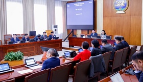 ТББХ: Үндсэн хуулийн цэцийн дүгнэлтүүдийг хүлээн зөвшөөрөх нь зүйтэй гэж үзлээ