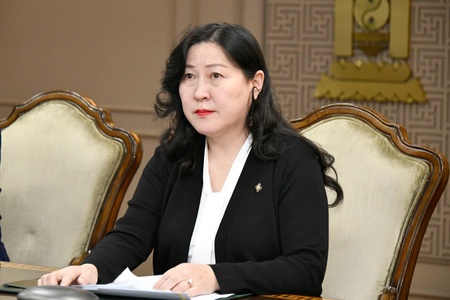 Мексик-Монголын парламентын бүлгийн ерөнхийлөгч Татьяна Тонантзин П.Анжелес Моренотой цахим уулзалт хийлээ