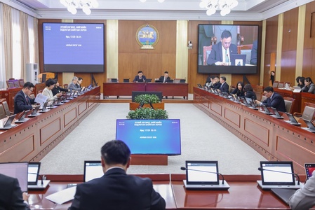 ХХНББХ: Амьд явах, эрүүл мэндээ хамгаалуулах хүний эрх хангагдаж буй эсэх тухай Улсын Их Хурлын гишүүний асуулгын хариуг хэлэлцлээ