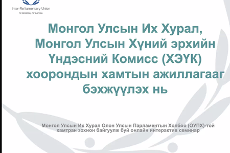 Дэлхийн улс орнуудын парламент болон хүний эрхийн байгууллагуудын хамтын ажиллагааны сайн туршлагуудын талаар хэлэлцлээ