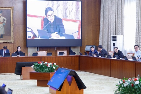 ТББХ: Хуулийн төслүүдийн хоёр дахь хэлэлцүүлгийг явуулсан талаарх танилцуулгаа ТБХ-нд хүргүүлэхээр тогтлоо