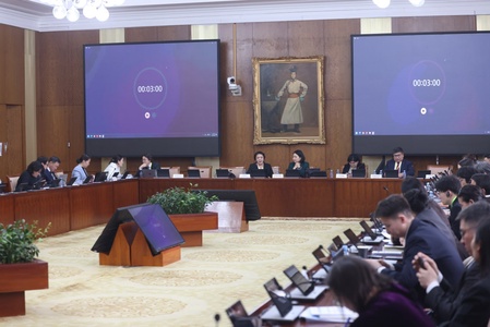 Хэлэлцүүлэгт оролцогчид “Өв залгамжлал, олон улсын иргэний эрх зүй” сэдвийн хүрээнд илтгэл сонсож, санал солилцлоо