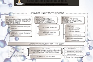 ИНФОГРАФИК: Малын генетик нөөцийн тухай хуулийн танилцуулга