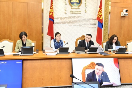 Хүний эрхийн дэд хороо холбогдох хуулийн хэрэгжилтийн талаарх үнэлгээтэй танилцлаа