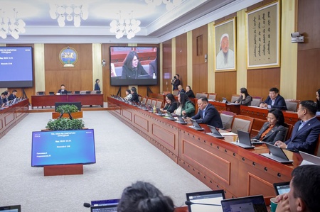 Байнгын хороодын хамтарсан хуралдаанаар  хуулийн төслийн хоёр дахь хэлэлцүүлгийг дахин явууллаа