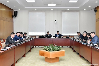 Standing Committee on Security and Foreign Policy: Directed the Government to take preventive measures against the harmful effects of narcotic drugs
