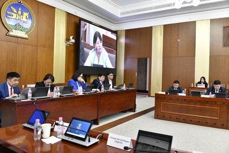 Төрийн өмчийг үнэгүйдүүлдэг байдлыг хуулийн төслийн шинэчилсэн найруулгаар засахаар олон нийтээс санал авч байна 