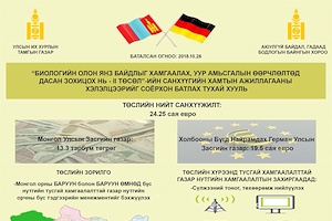 ИНФОГРАФИК: Санхүүгийн хамтын ажиллагааны хэлэлцээр соёрхон батлах тухай хууль