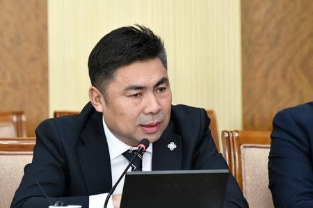 Төсвийн байнгын хорооны даргад Улсын Их Хурлын гишүүн Н.Наранбаатарын нэрийг дэвшүүлснийг дэмжлээ
