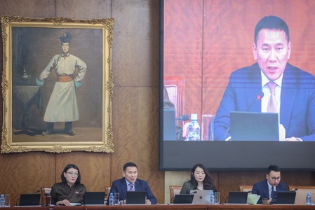 Банк, санхүү, боловсрол, соёл, харилцаа холбоо, эдийн засгийн салбарын зөвшөөрөл олгох харилцааны талаар хэлэлцэв