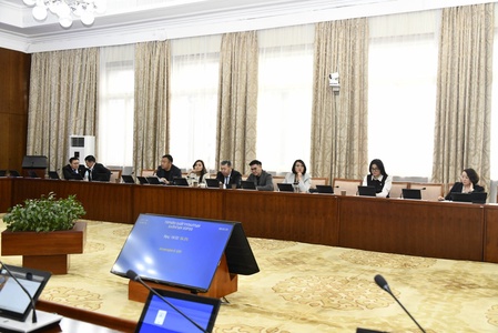 ТББХ: Хууль, тогтоолоор үүрэг, чиглэл болгосон Улсын Их Хурлын шийдвэрийн биелэлтийн тайланг хэлэлцэв