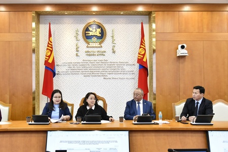 Ажлын хэсэг хуралдаж, нийгмийн эрүүл мэндийн тусламж, үйлчилгээний чиглэлээр ажиллах төлөвлөгөөгөө баталлаа