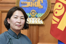 Улсын Их Хурлын гишүүн Х.Баасанжаргалаас Монгол Улсын Ерөнхий сайдад хандаж "Хөгжлийн бодлого, төлөвлөлтийн тухай хуулийн хэрэгжилтийн талаар" тавьсан АСУУЛГА-29-ийн хариу