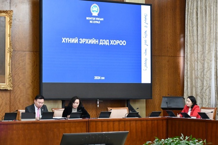 Хүний эрхийн дэд хорооны 2024-2025 оны үйл ажиллагааны төлөвлөгөөг баталлаа