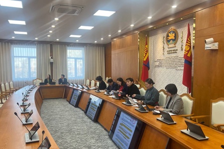 Хөгжлийн бодлого төлөвлөлт, дэд бүтэц хөгжлийн төслүүдийн асуудлаар санал, дүгнэлт боловсруулах ажлын хэсэг хуралдав