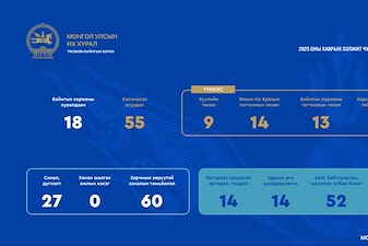 The Standing Committee on Budget had nine laws and fourteen resolutions of the State Great Hural (Parliament) adopted during the regular session