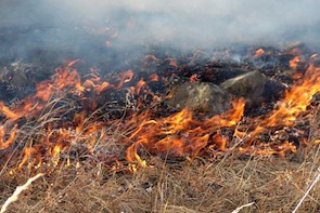 Зарим аймагт тохиолдсон байгалийн гамшигт үзэгдэл цасан шуурга, хээрийн түймэртэй тэмцэх, хор хохирлыг барагдуулах талаар авч хэрэгжүүлж байгаа арга хэмжээний тухай БОНХАЖ-ын сайдын мэдээлэл